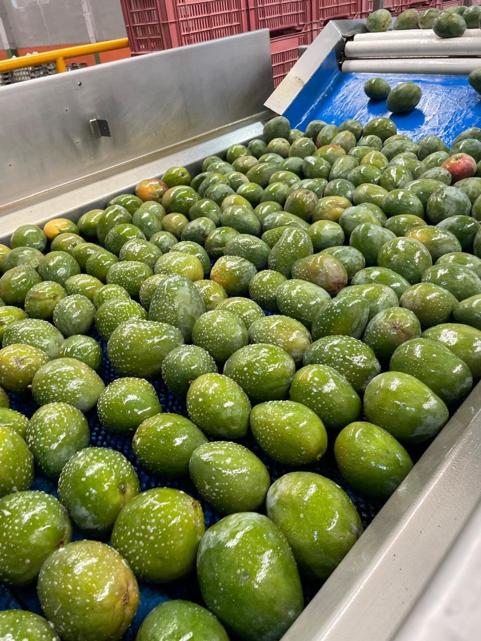 WhatsApp Image 2026-02-17 at 1.32.07 PM (1)